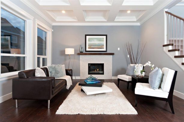 contemporary living room with Benjamin Moore eternity AF-695 wall paint color