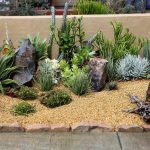 the use of rocks and mulch in a succulent garden landscape