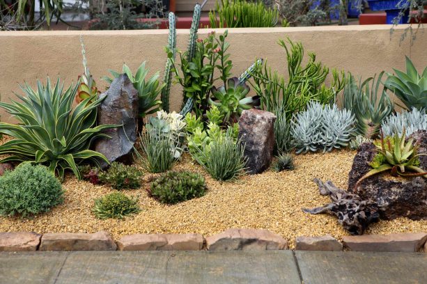 the use of rocks and mulch in a succulent garden landscape