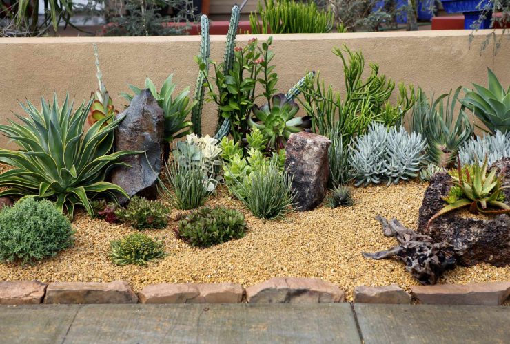 the use of rocks and mulch in a succulent garden landscape