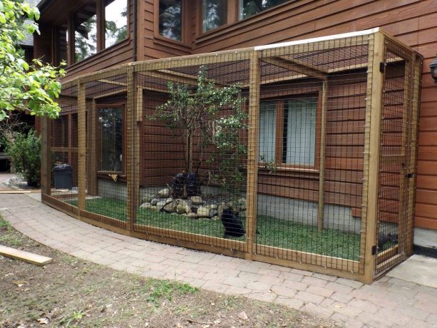 a-cat-enclosure-looks-wonderful-with-its-natural-feel-from-the-grass-flooring-and-live-tree-inside-it-613x460.jpg