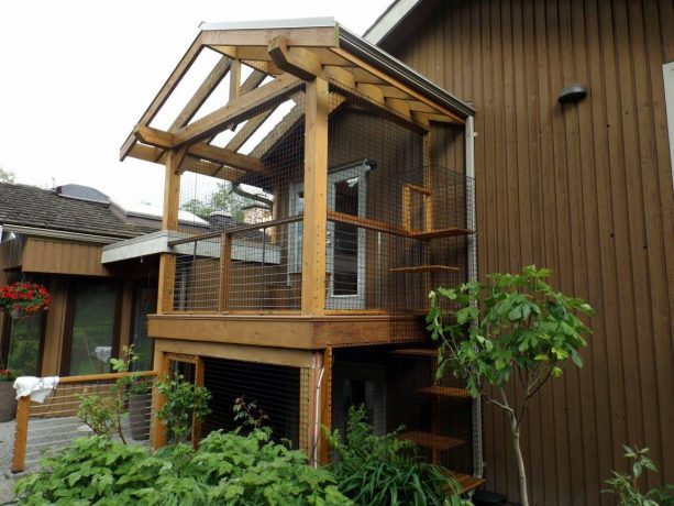 a double-decker cat enclosure to give the cats more adventure
