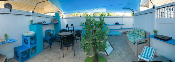 a large cat enclosure that functions at the same time as a place for humans to hangout