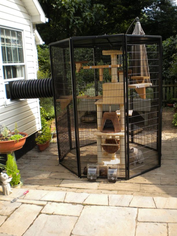 black-aluminum-frame-hexagonal-cat-enclosure-with-cat-tree-inside-it-613x817.jpg
