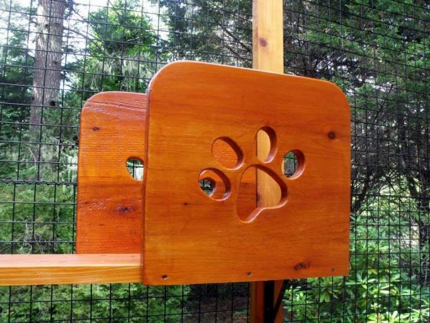 the cat paw cutout that looks so cute