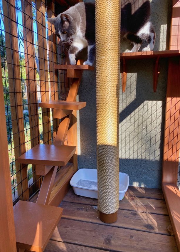 there is a beautiful wooden floating steps provided inside so the cat can access the lower area with litter box easily