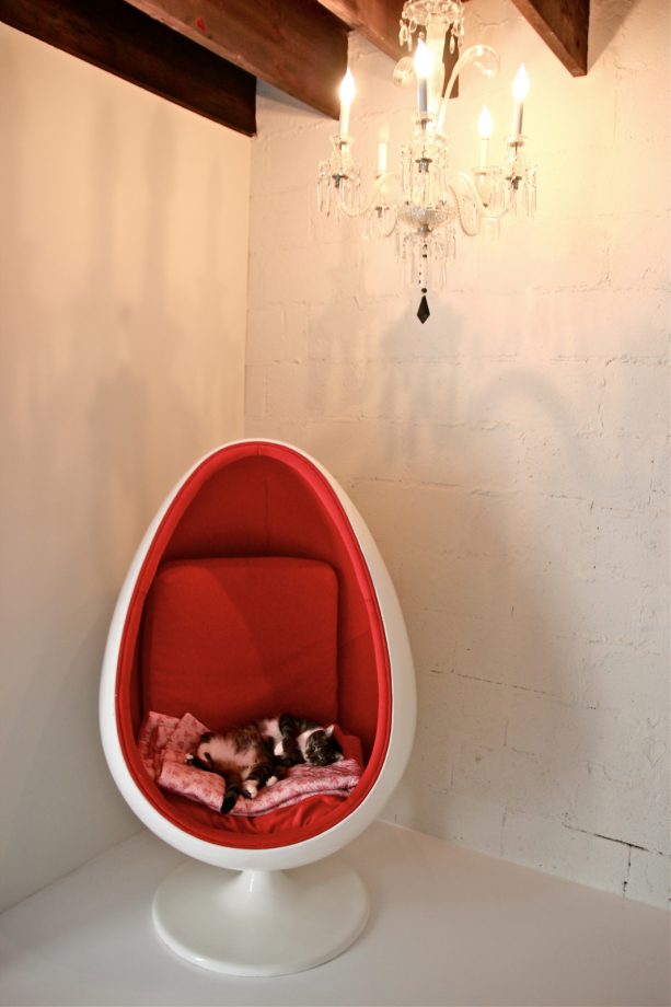 a nook with white and visibly textured cinder block interior wall