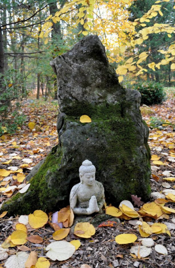 black lava zen rock in a Japanese-style garden