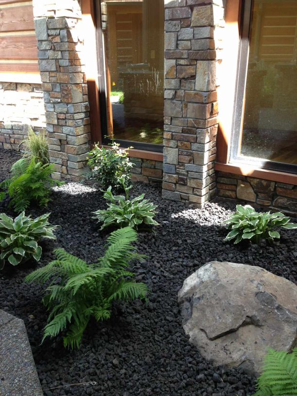 hosta and fern as fabulous pair in the black lava rock landscape design