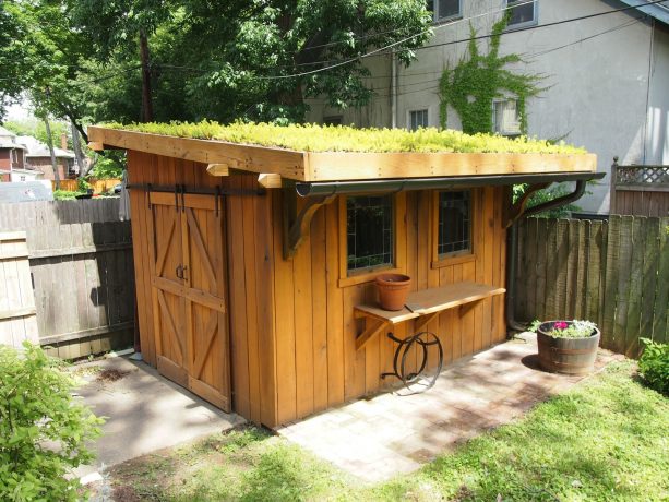 the plants planted on the roof adds a green value to the garden shed design