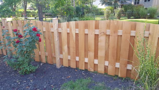 a short board on board fencing with arched top