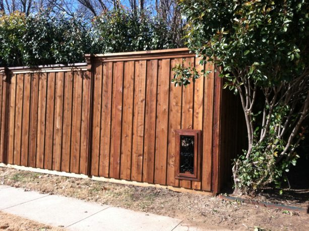 cedar board on board fencing with dog window feature