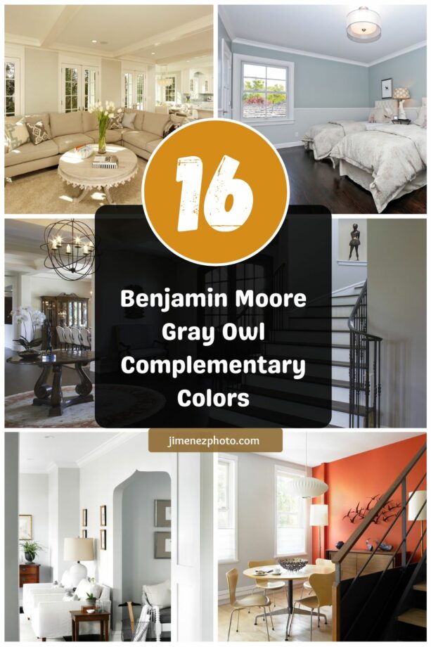 benjamin moore gray owl complementary colors